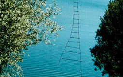 Gisoo Kim - genähte Fotoarbeiten 